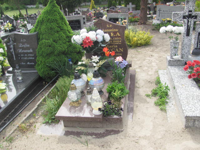 Grób Maria  Grycan